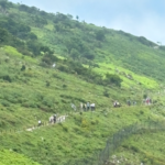 伊吹山登頂までの道